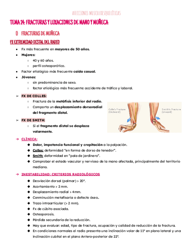 Miniatura del documento Tema 24: fx.-lux.mano y muñeca.pdf