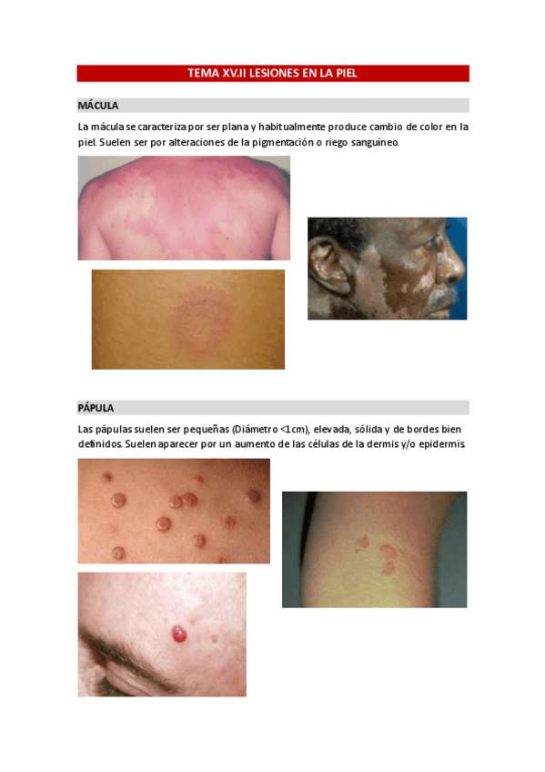 Miniatura del documento TEMA-XV-AMPLIACION.-INFANCIA-Y-ADOLESCENCIA.pdf