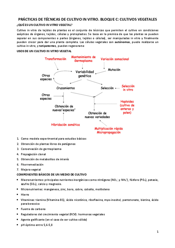 Miniatura del documento TEORIA-BLOQUE-C.pdf