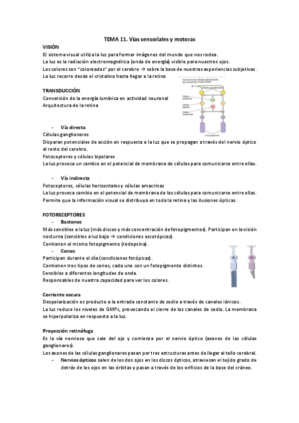 Miniatura del documento Tema-11.pdf