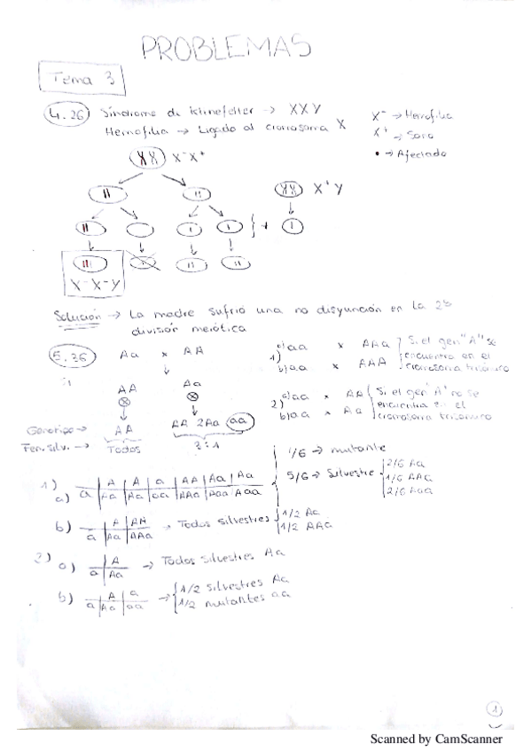 Miniatura del documento Problemas herencia.pdf