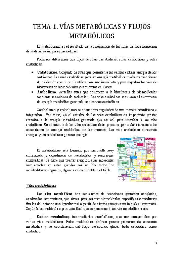 Miniatura del documento Tema 1.pdf