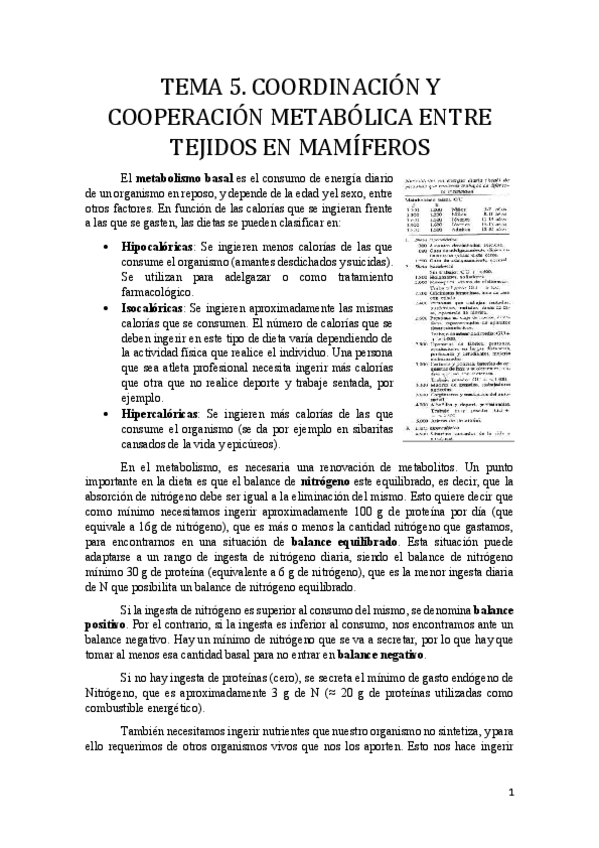 Miniatura del documento Tema 5.pdf
