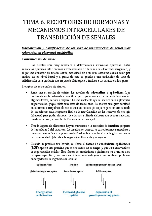 Miniatura del documento tema 6.pdf