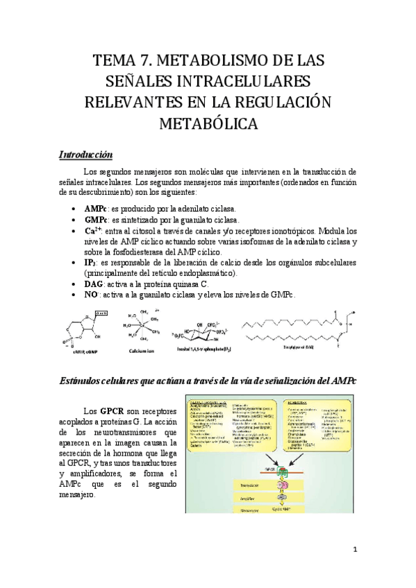 Miniatura del documento Tema 7.pdf