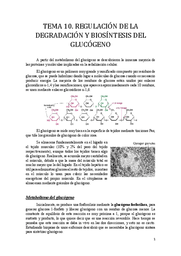 Miniatura del documento Tema 10.pdf