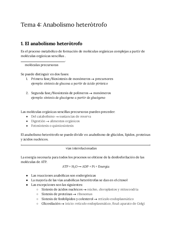 Miniatura del documento Apuntes-Anabolismo-heterotrofo.pdf