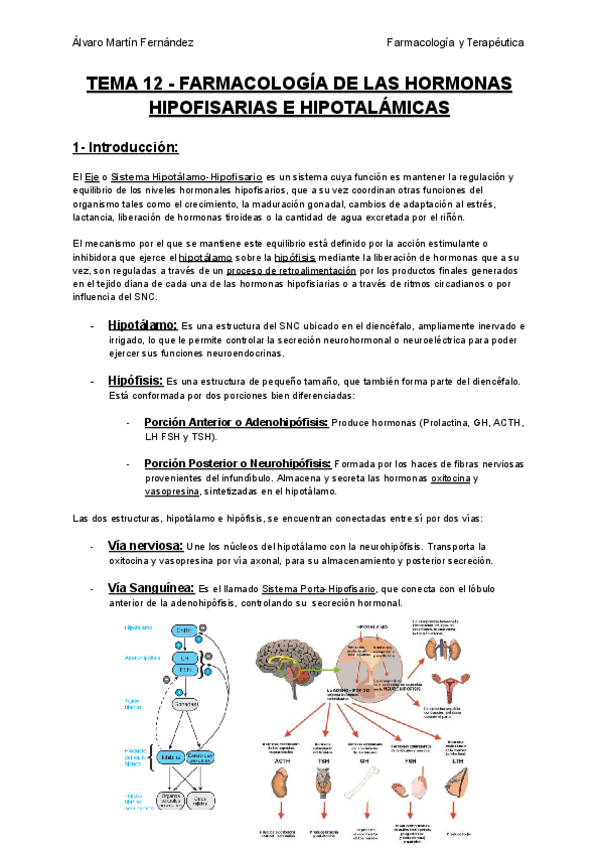 Miniatura del documento TEMA-12-FARMACOLOGIA-DE-LAS-HORMONAS-HIPOFISARIAS-E-HIPOTALAMICAS.pdf