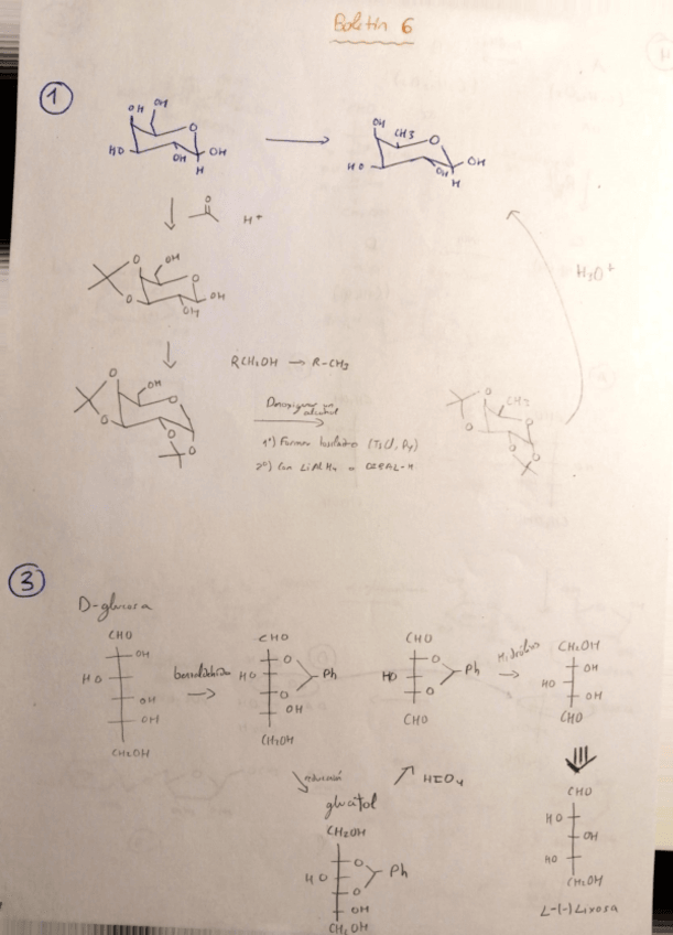 Miniatura del documento Boletin-8-Ampliacion-Organica.pdf