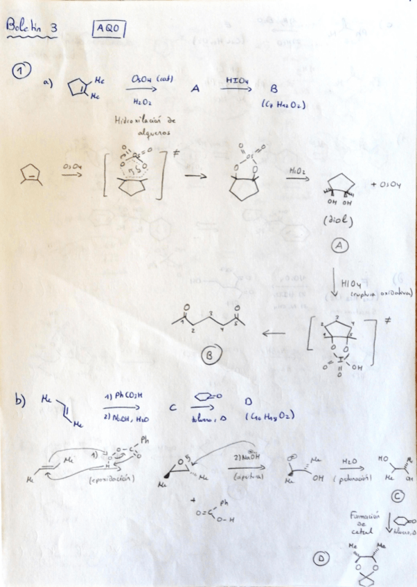 Miniatura del documento Boletin-3-Ampliacion-Organica.pdf