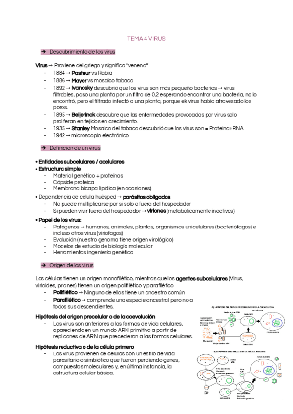 Miniatura del documento Tema-4-Virus.pdf