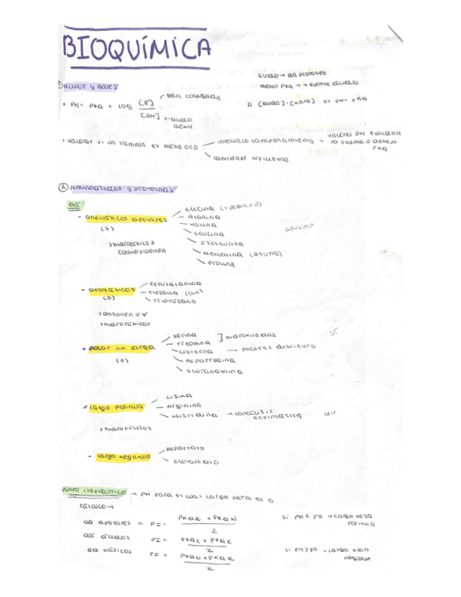 Miniatura del documento BIOQUIMICA-laura-g.pdf