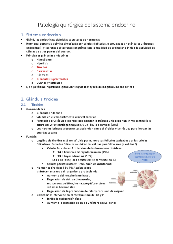 Miniatura del documento 5.-Endocrino-clases-1-y-2.pdf