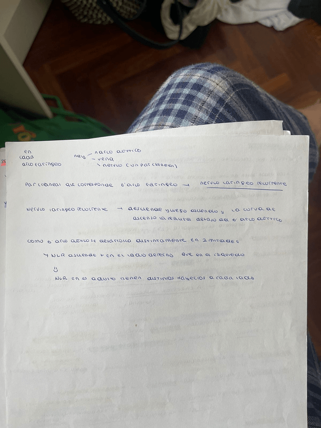 Miniatura del documento PHOTO-2023-05-26-15-20-04.jpg