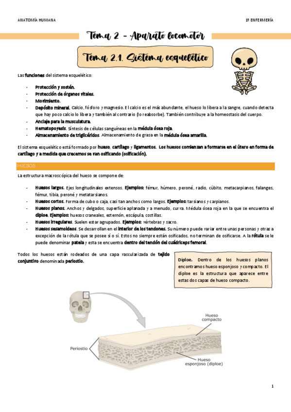 Miniatura del documento Tema-2.1-Sistema-Locomotor-Esqueletico.pdf