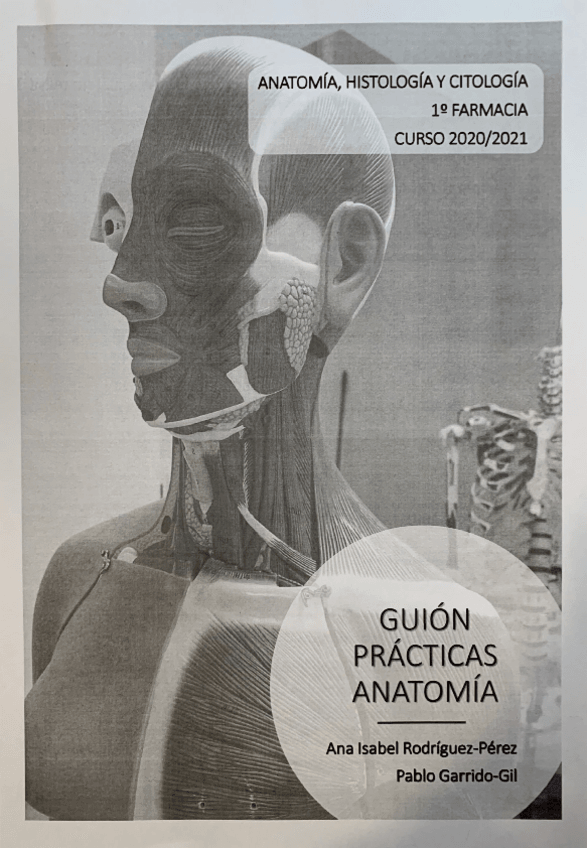 Miniatura del documento GUION-PRACTICAS-RESUELTO.pdf