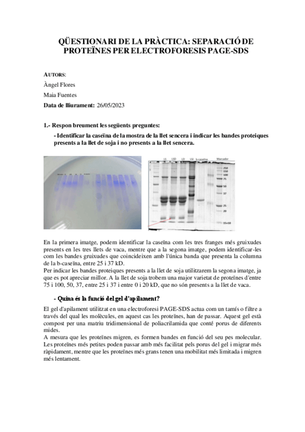 Miniatura del documento Practica-3-bioquimica.pdf