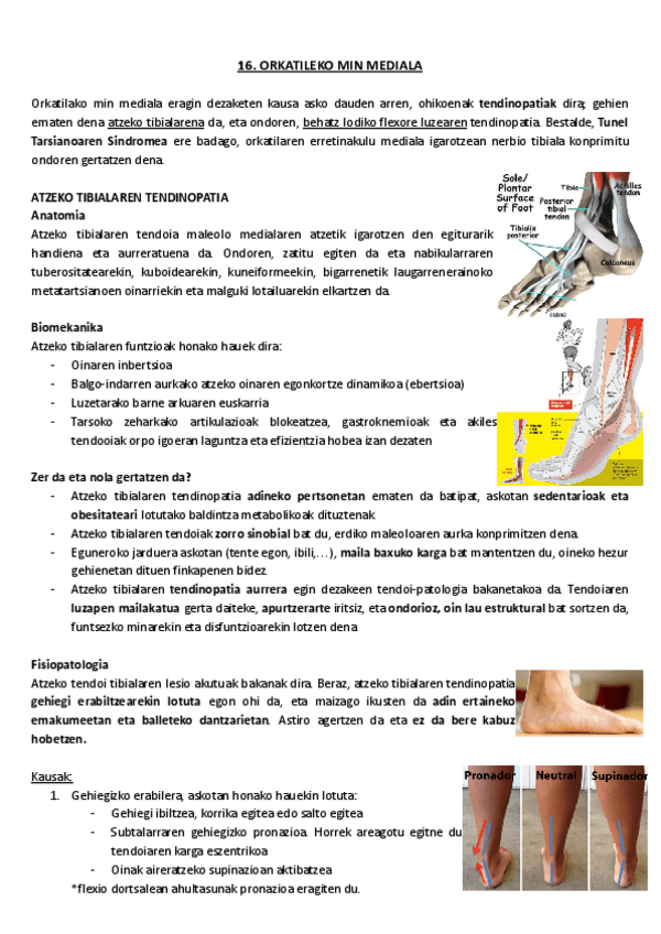 Miniatura del documento 16.-Orkatileko-min-mediala.pdf