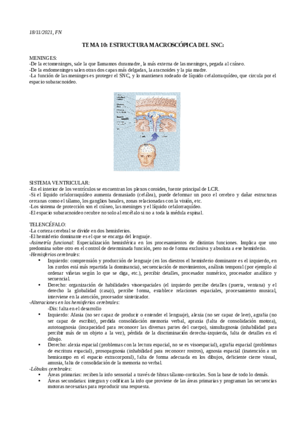 Miniatura del documento TEMA-10-FN.pdf