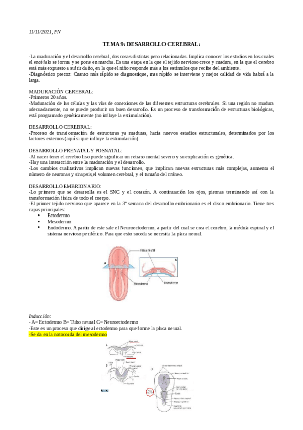 Miniatura del documento TEMA-9-FN.pdf