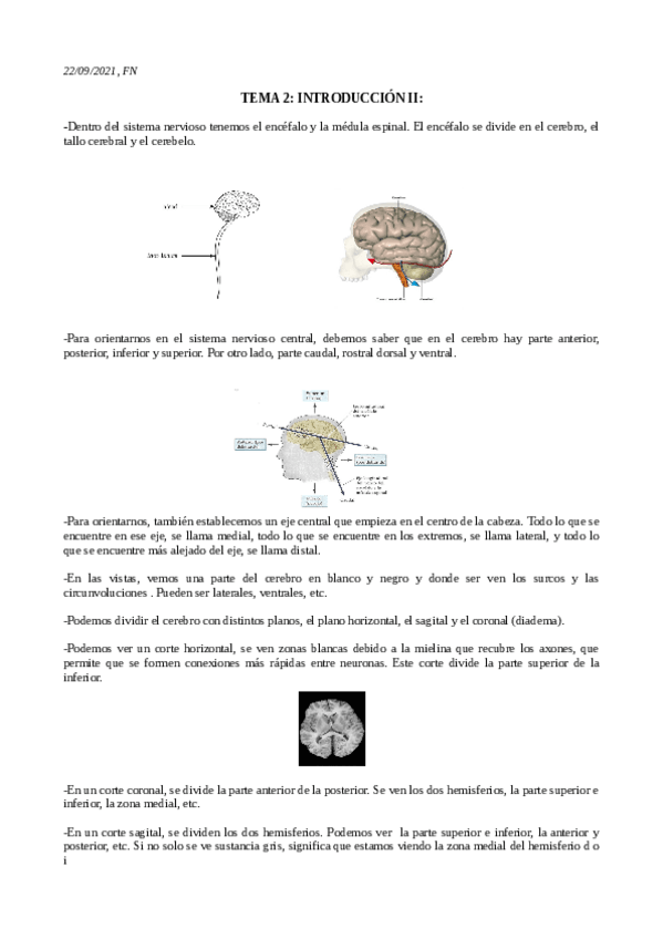 Miniatura del documento INTRODUCCION-2.pdf