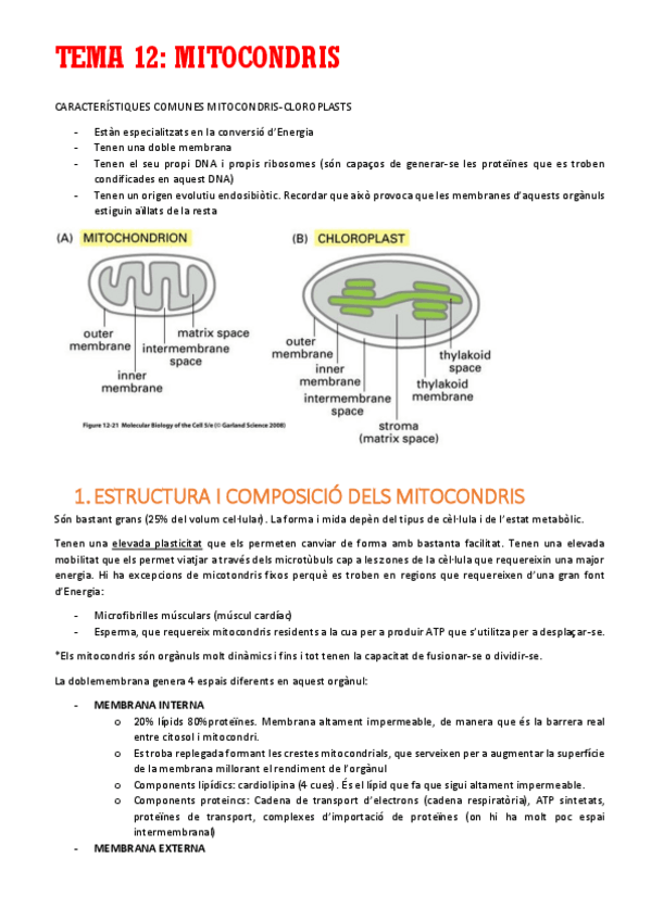 Miniatura del documento TEMA-12.pdf
