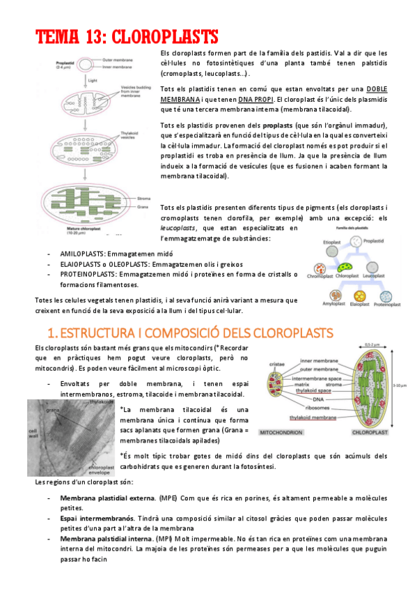 Miniatura del documento TEMA-13.pdf