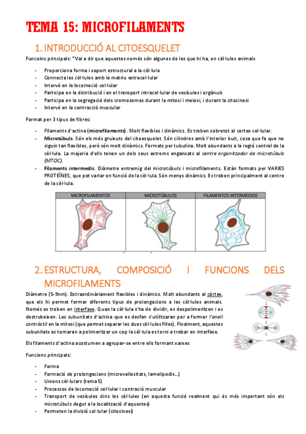 Miniatura del documento TEMA-15.pdf