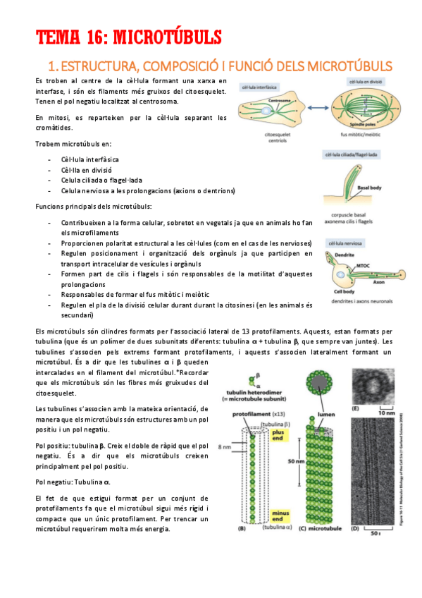 Miniatura del documento TEMA-16.pdf