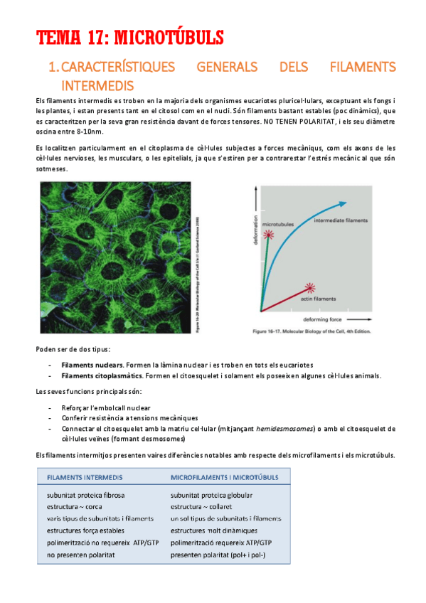 Miniatura del documento TEMA-17.pdf