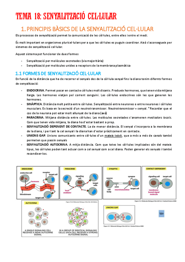 Miniatura del documento TEMA-18.pdf
