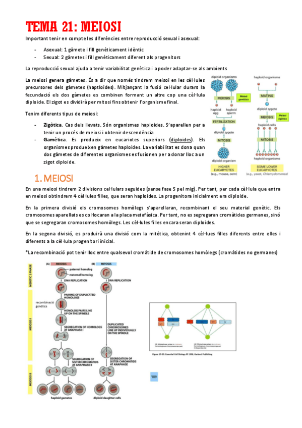 Miniatura del documento TEMA-21.pdf