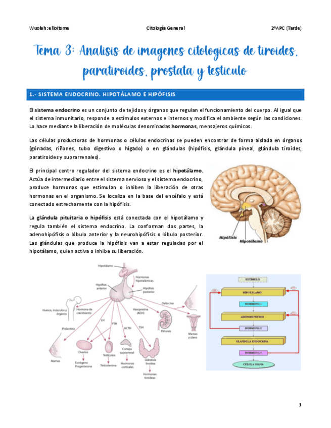 Miniatura del documento Tema-3-General.pdf