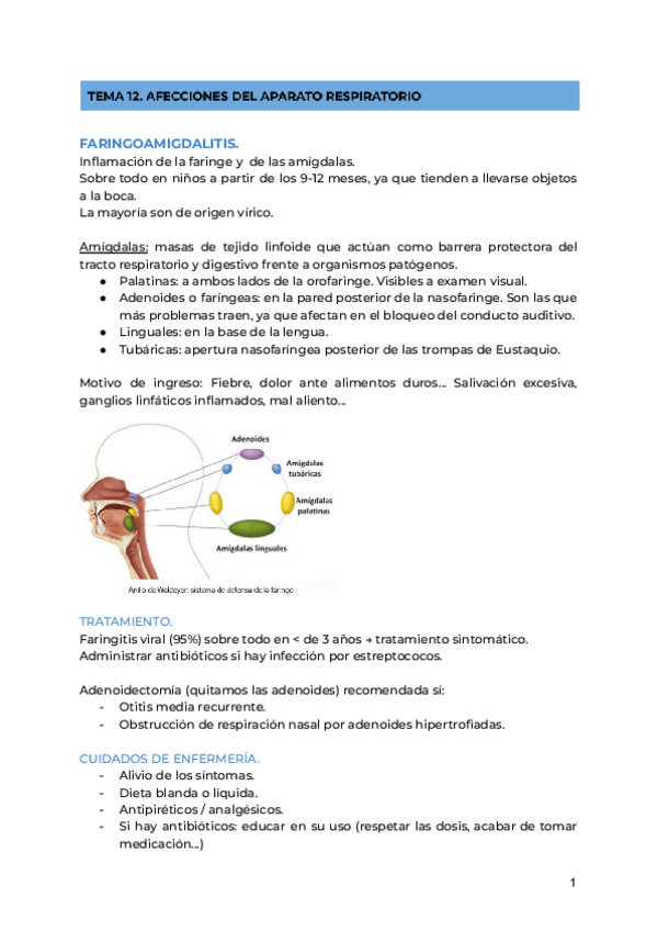 Miniatura del documento TEMA 12. AFECCIONES DEL APARATO RESPIRATORIO.pdf