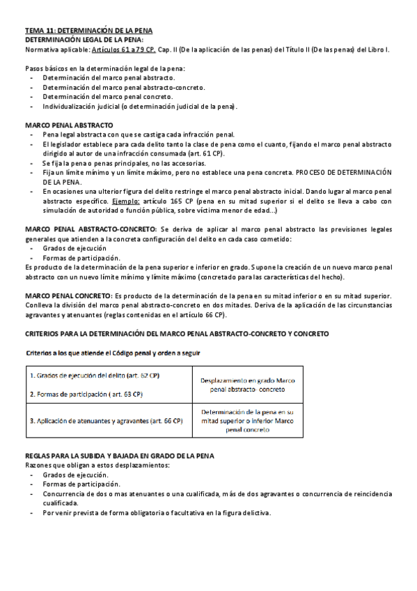 Miniatura del documento TEMA-11-DETERMINACION-DE-LA-PENA.pdf