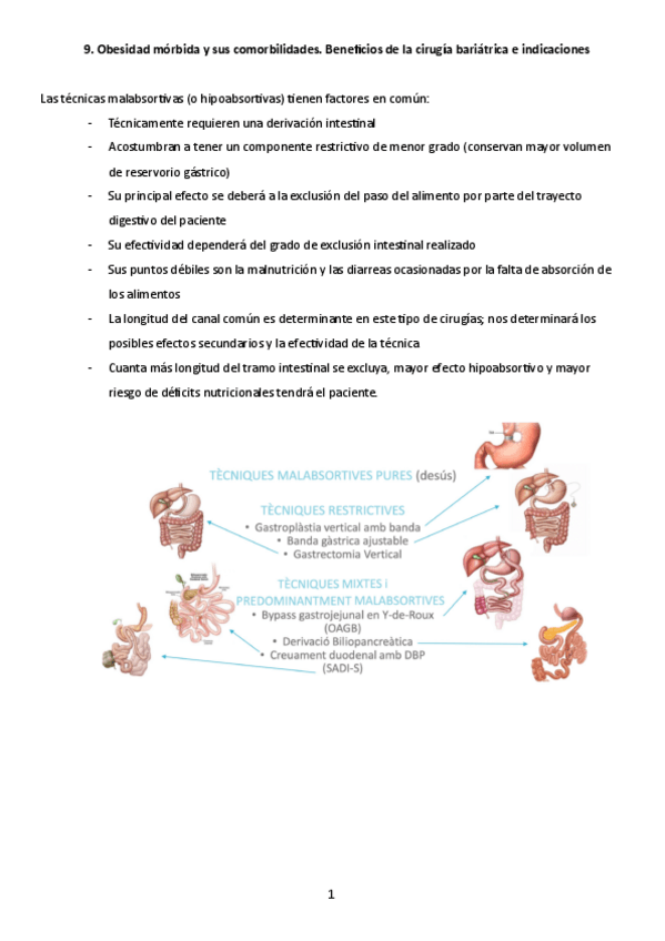 Miniatura del documento CiruObesidad7.pdf