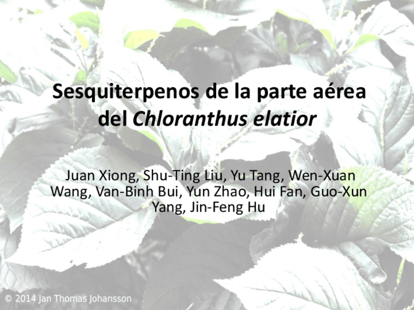 Miniatura del documento EXPO-Sesquiterpenos.pdf