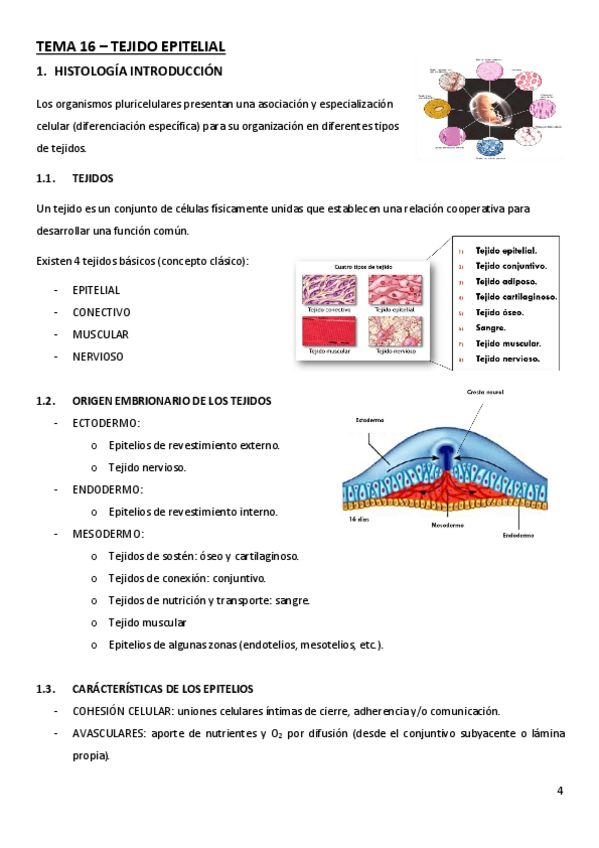 Miniatura del documento TEMA-16.pdf