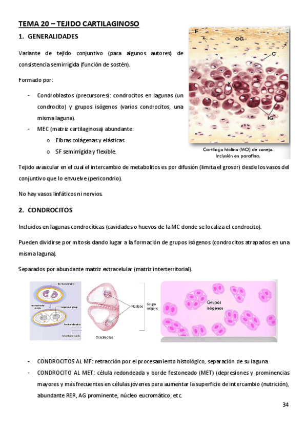 Miniatura del documento TEMA-20.pdf