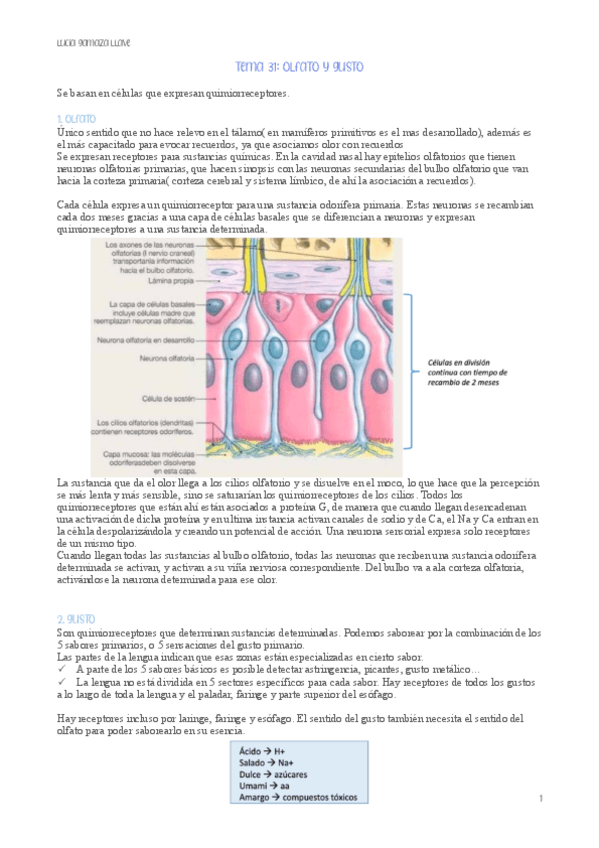 Miniatura del documento tema-31-olfato-y-gusto-fisiologia.pdf