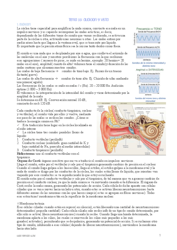 Miniatura del documento Tema-33-audicion-y-vista--fisiologia.pdf