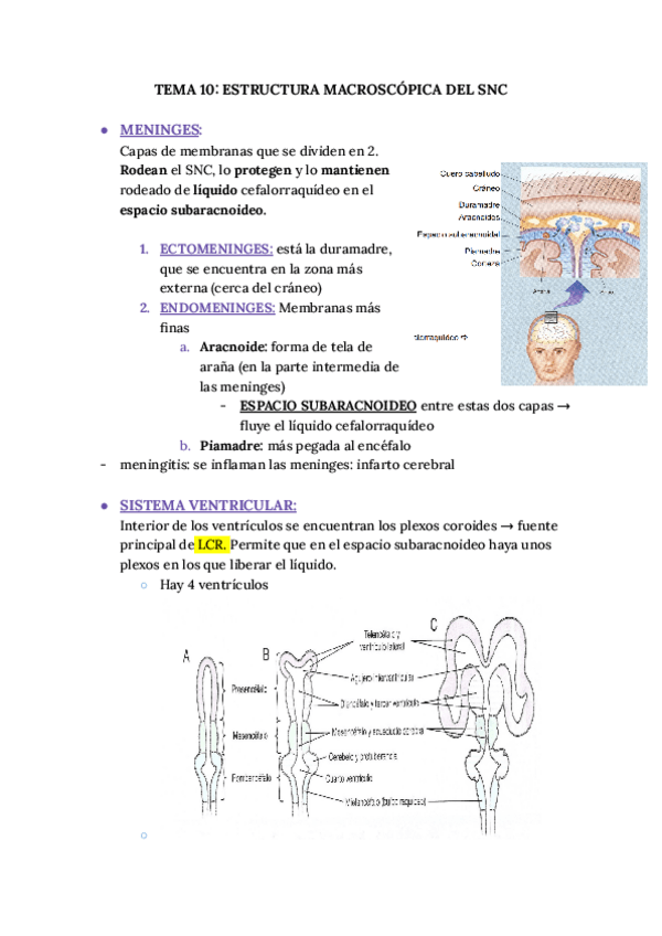 Miniatura del documento Tema-10.pdf