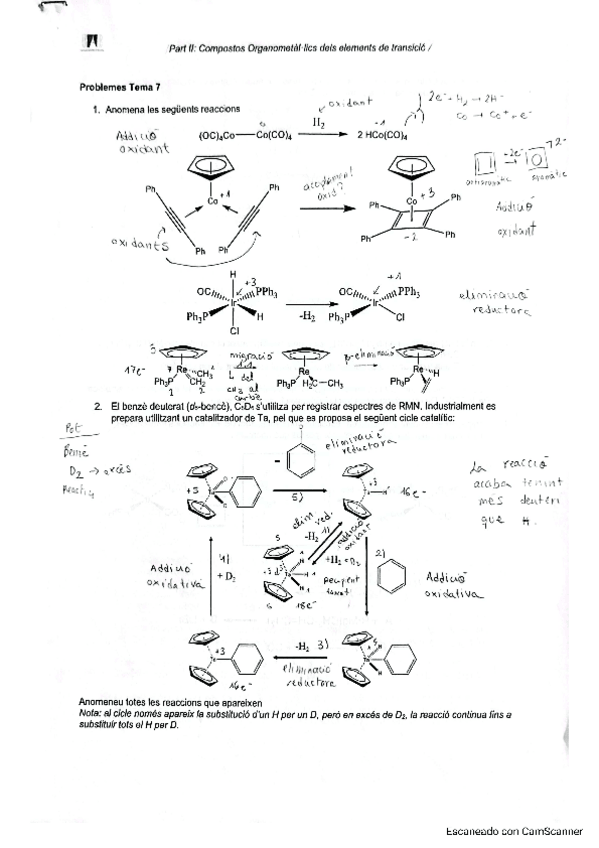 Miniatura del documento QCO-Exercicis-Tema-7-Reaccions.pdf