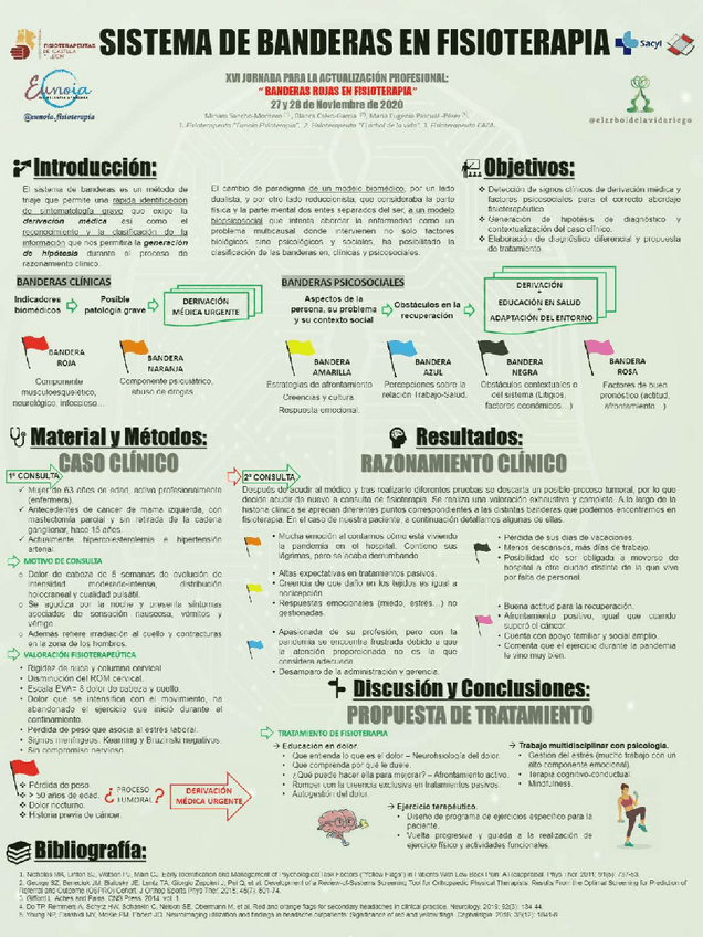 Miniatura del documento Banderas-clinicas.pdf