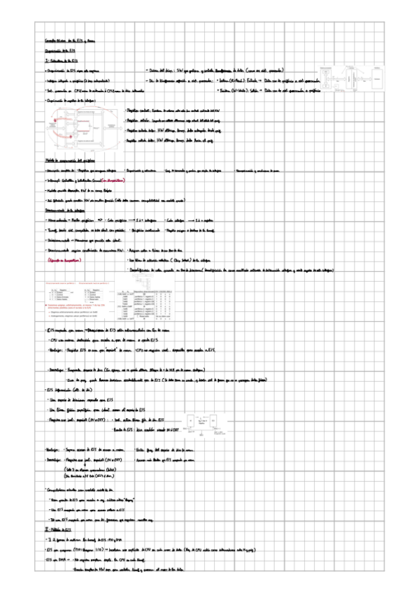 Miniatura del documento REPASO-ALMACENAMIENTO-T1T2.pdf