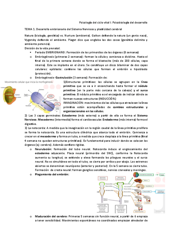 Miniatura del documento Tema-1.pdf