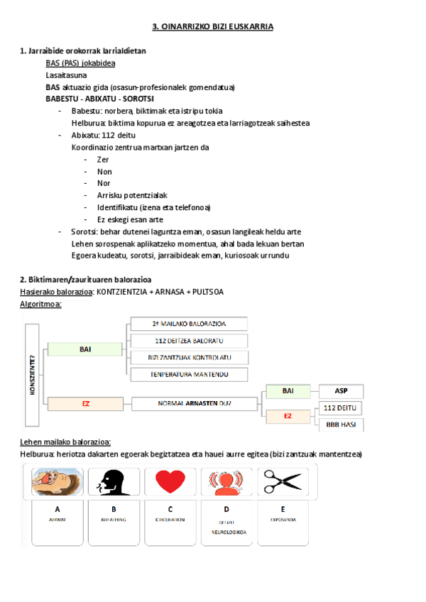 Miniatura del documento 3.-Oinarrizko-bizi-euskarria.pdf