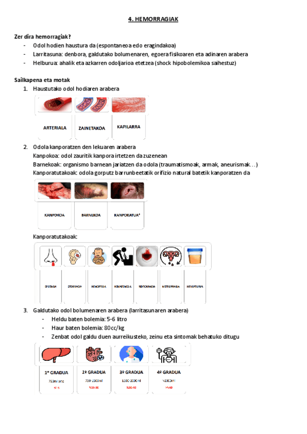Miniatura del documento 4.-Hemorragiak.pdf