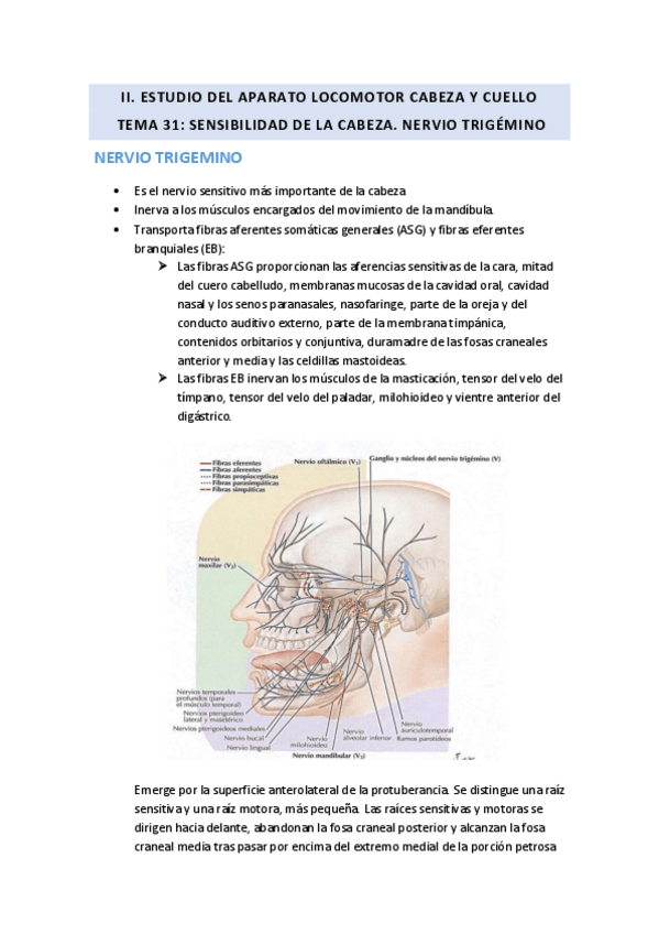 Miniatura del documento TEMA31.pdf