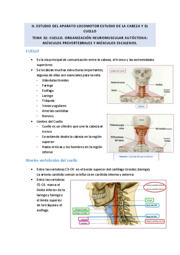 Miniatura del documento Tema-32.pdf